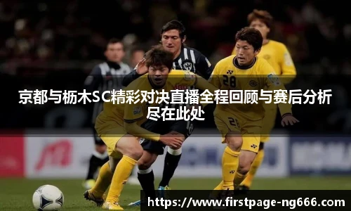 南宫NG28